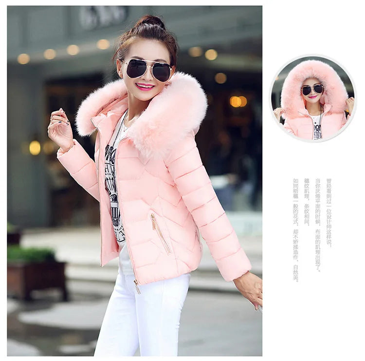 Winterjacke Model 2024 NEU