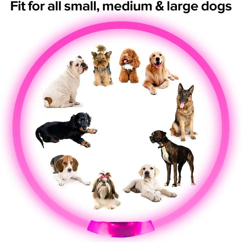 Led-hundehalsband Leuchtendes USB-Hundehalsband