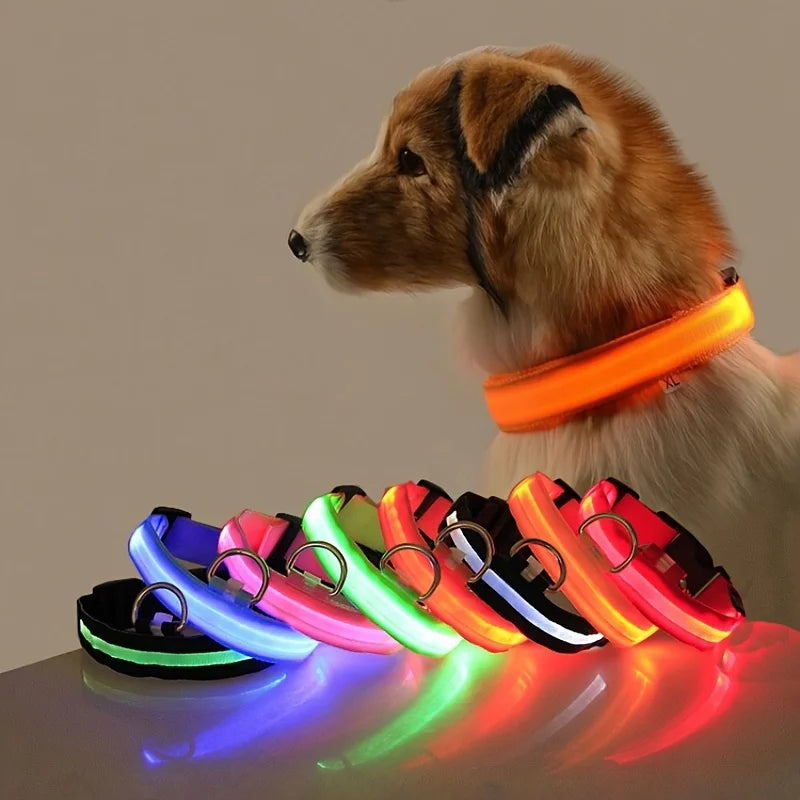 Nylon LED Nacht Sicherheit blinkendes Hundehalsband