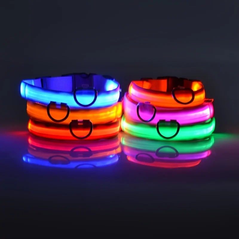 Nylon LED Nacht Sicherheit blinkendes Hundehalsband