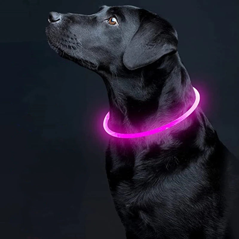 Led-hundehalsband Leuchtendes USB-Hundehalsband