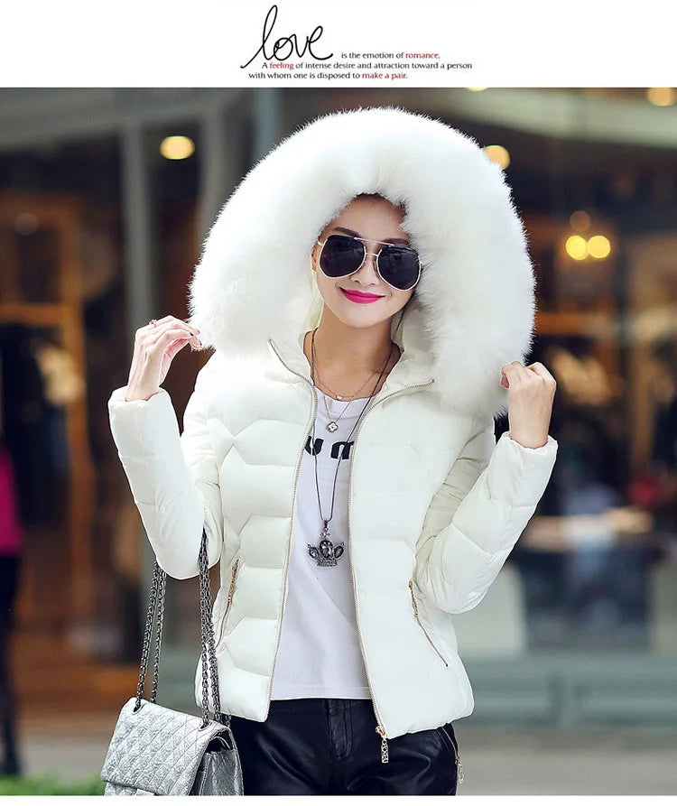 Winterjacke Model 2024 NEU