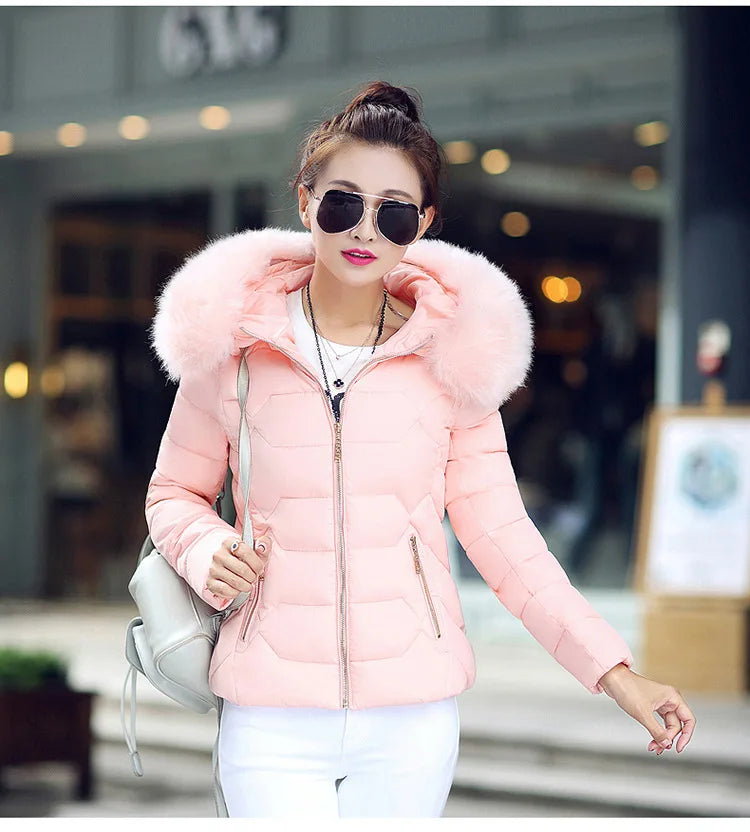 Winterjacke Model 2024 NEU