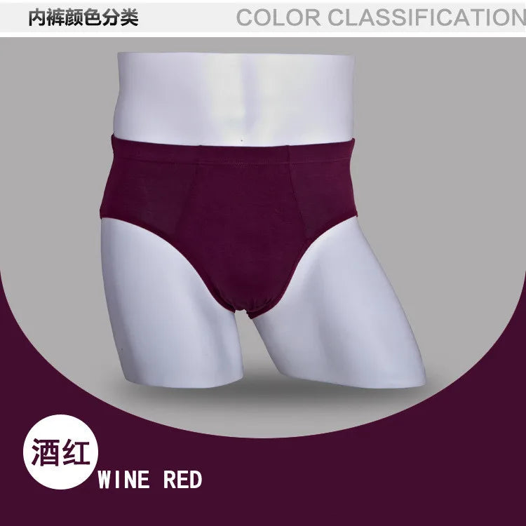 Top Quality! Männer Slips Unterwäsche Unterhose Bambusfaser