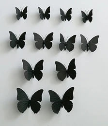 50062647460184