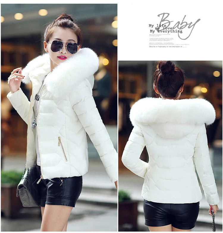 Winterjacke Model 2024 NEU