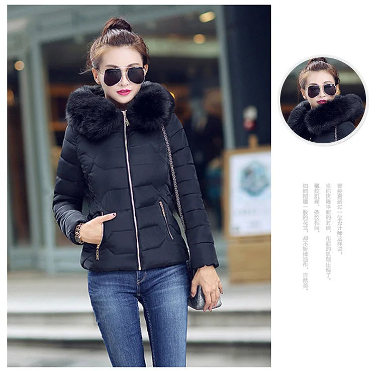 Winterjacke Model 2024 NEU