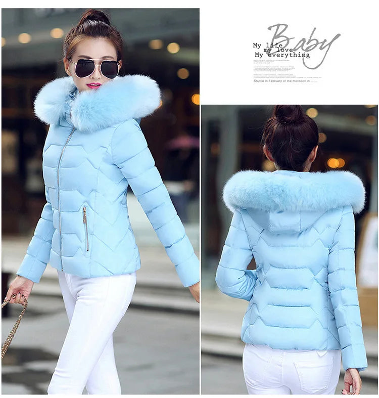 Winterjacke Model 2024 NEU