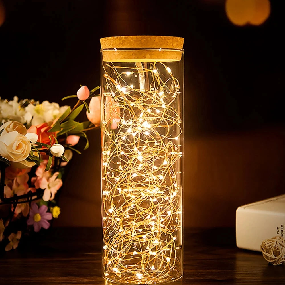 10M 5M 3M 2M LED Lichterkette