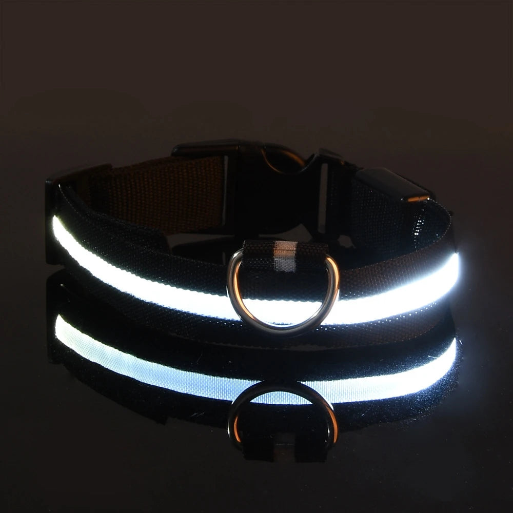 Nylon LED Nacht Sicherheit blinkendes Hundehalsband