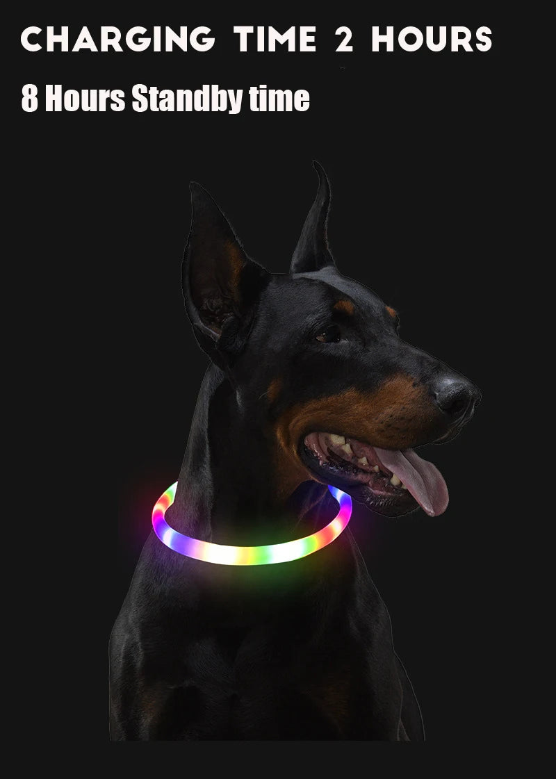 Led-hundehalsband Leuchtendes USB-Hundehalsband