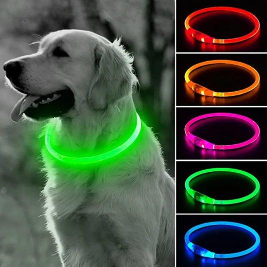 Led-hundehalsband Leuchtendes USB-Hundehalsband
