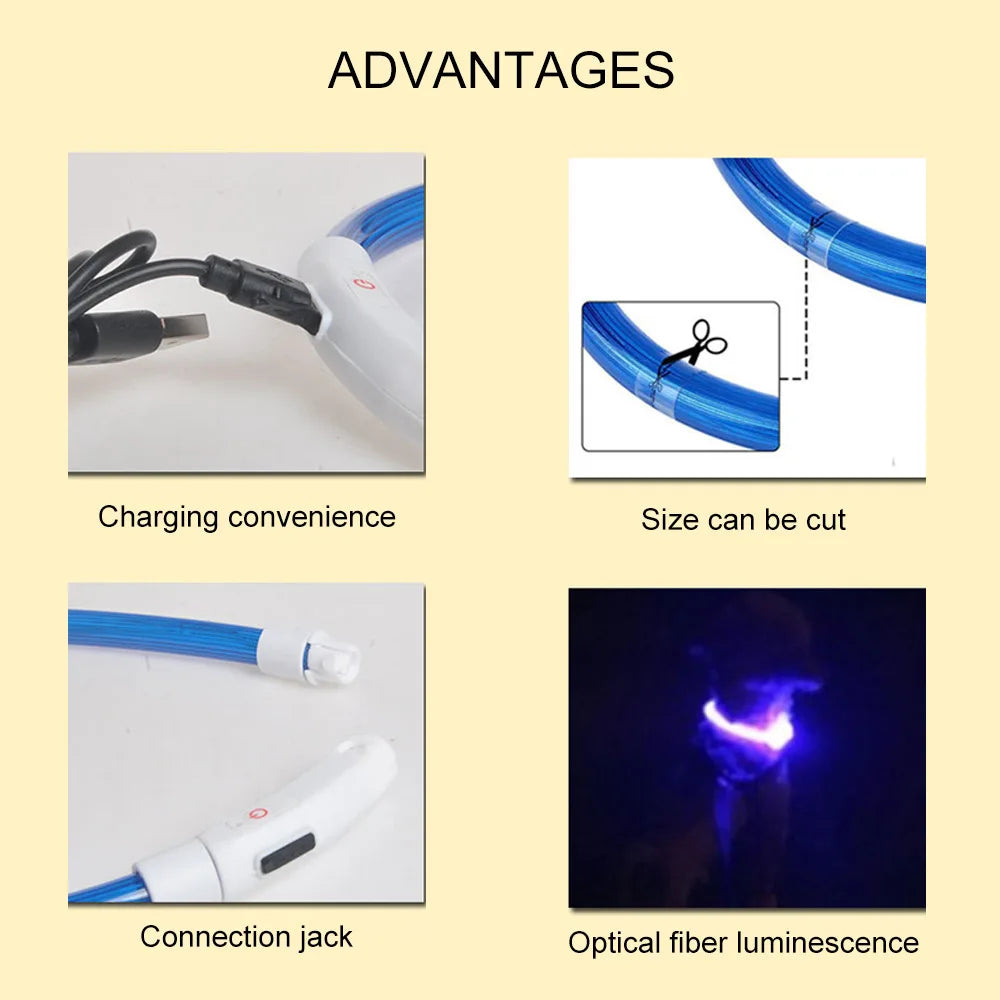 Led-hundehalsband Leuchtendes USB-Hundehalsband