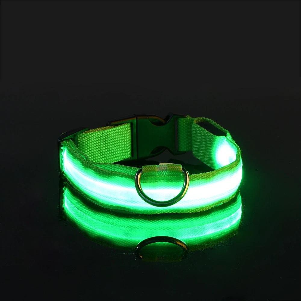 Nylon LED Nacht Sicherheit blinkendes Hundehalsband