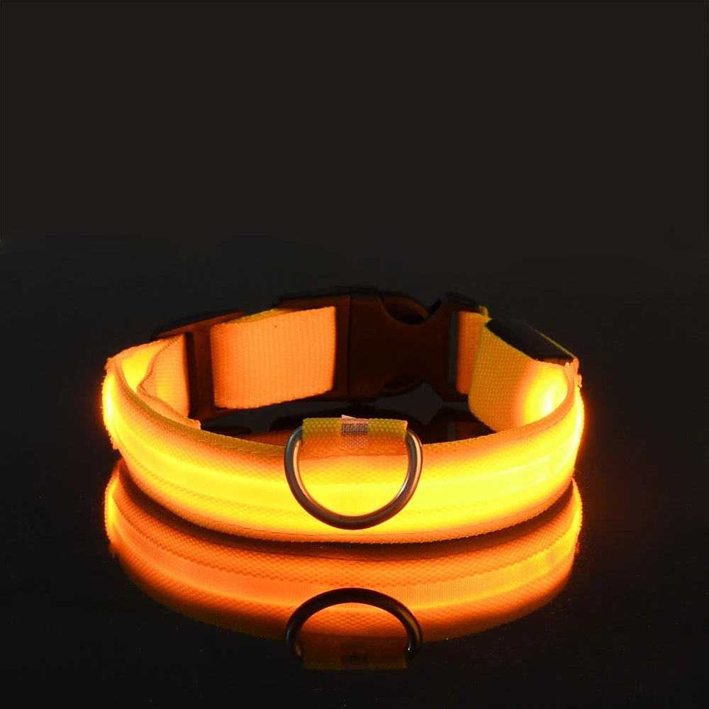 Nylon LED Nacht Sicherheit blinkendes Hundehalsband