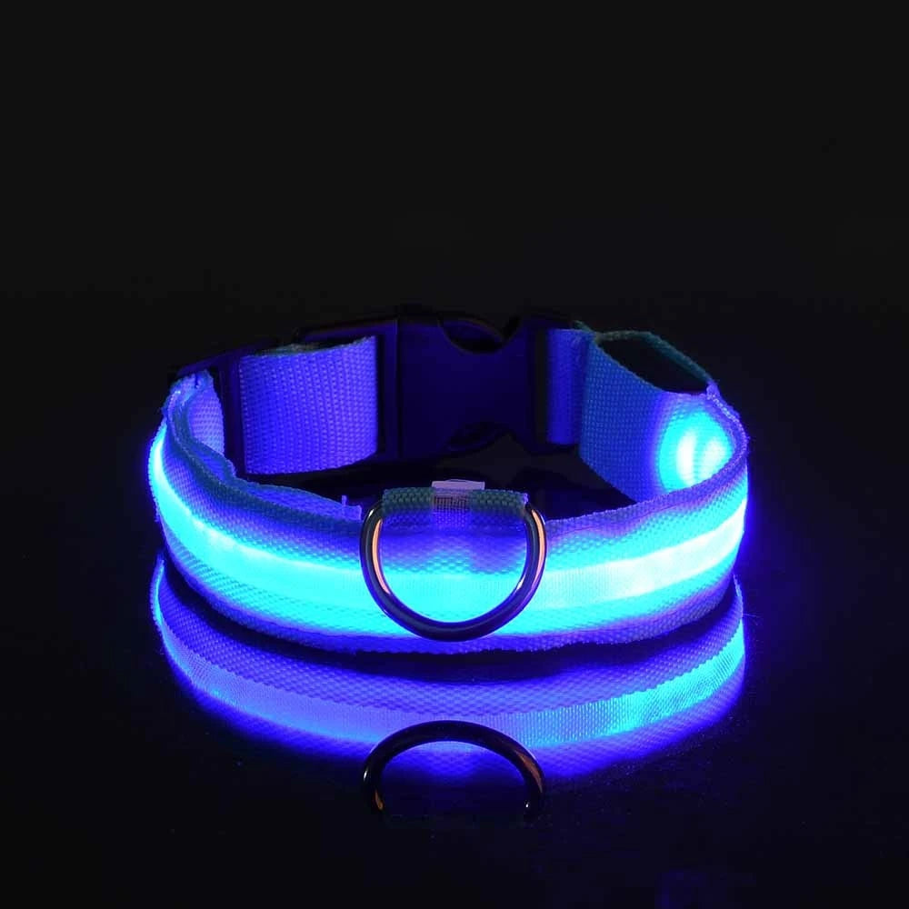 Nylon LED Nacht Sicherheit blinkendes Hundehalsband