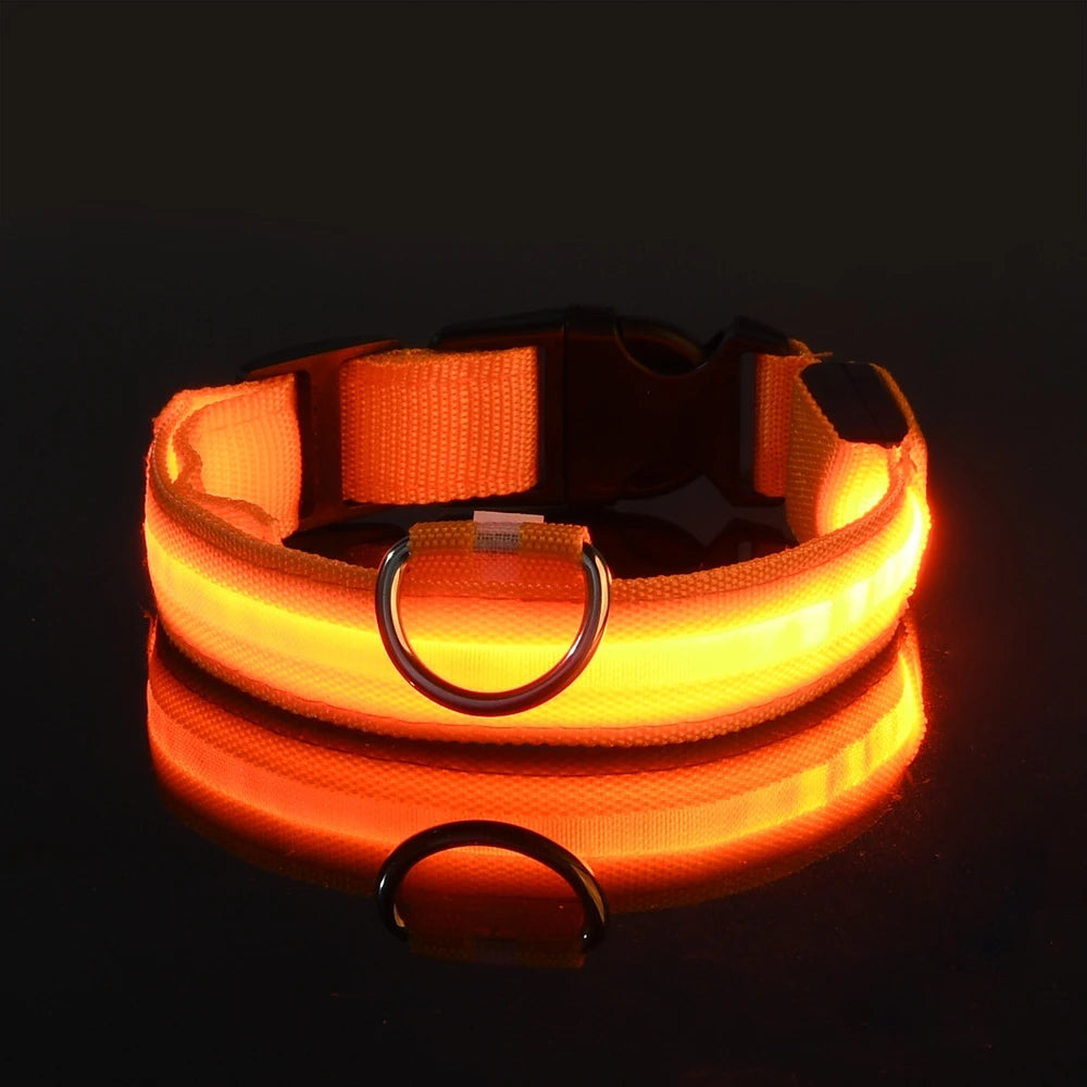 Nylon LED Nacht Sicherheit blinkendes Hundehalsband