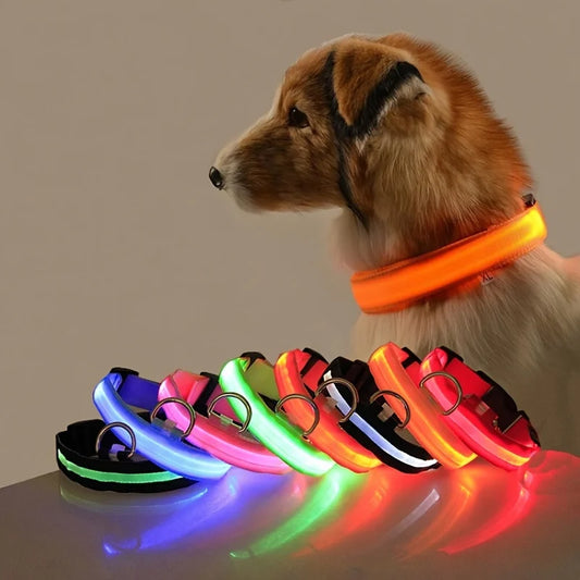 Nylon LED Nacht Sicherheit blinkendes Hundehalsband