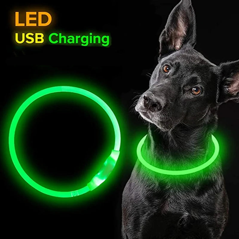 Led-hundehalsband Leuchtendes USB-Hundehalsband