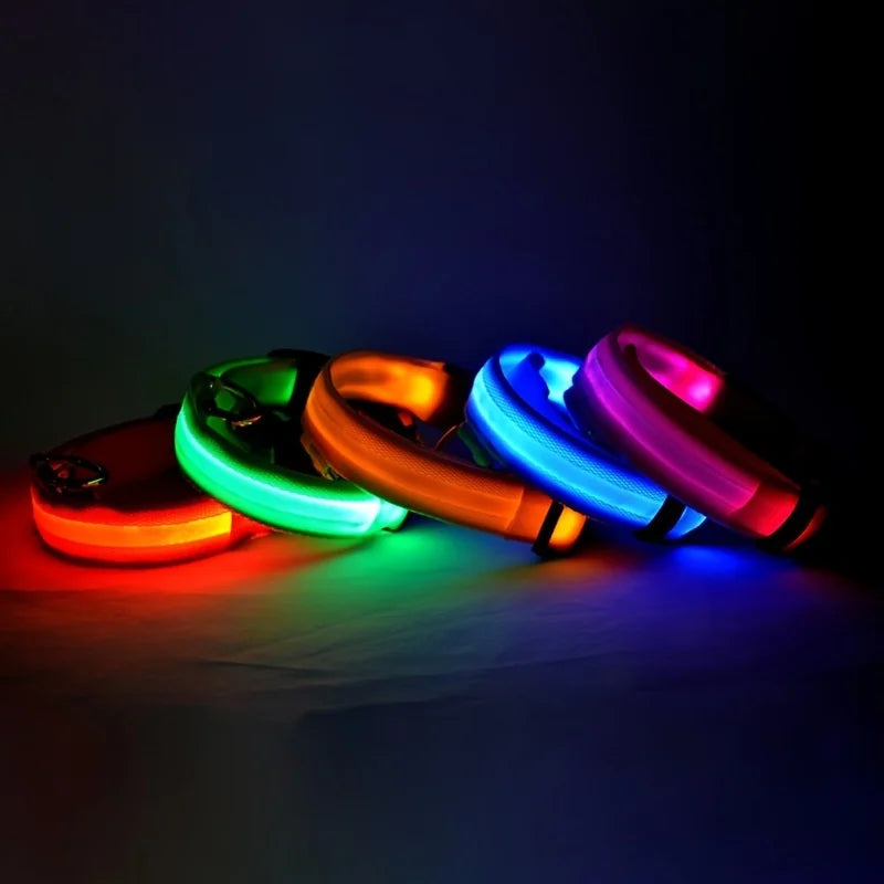 Nylon LED Nacht Sicherheit blinkendes Hundehalsband