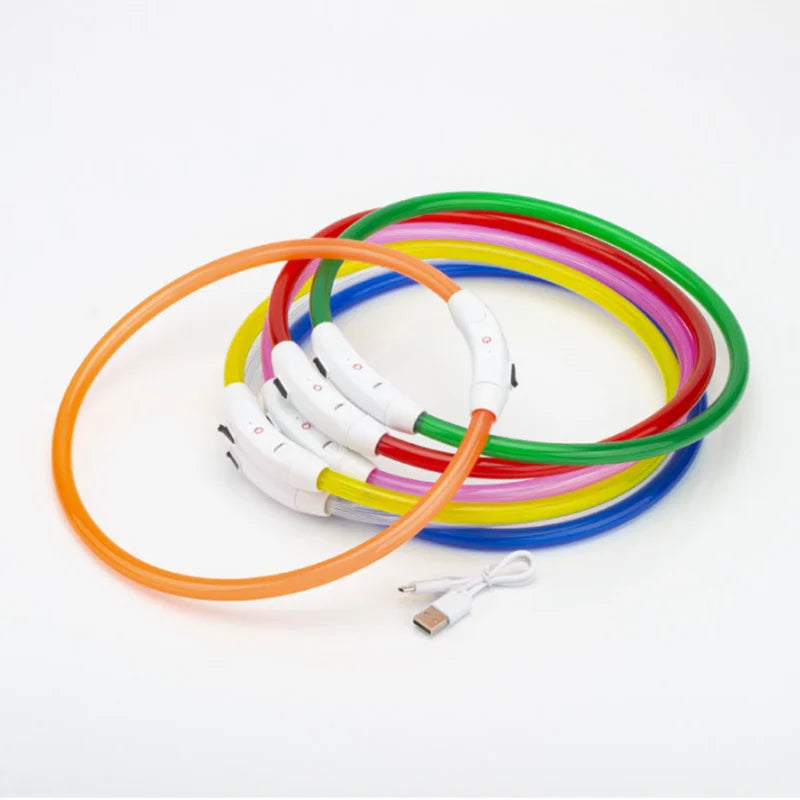 Led-hundehalsband Leuchtendes USB-Hundehalsband