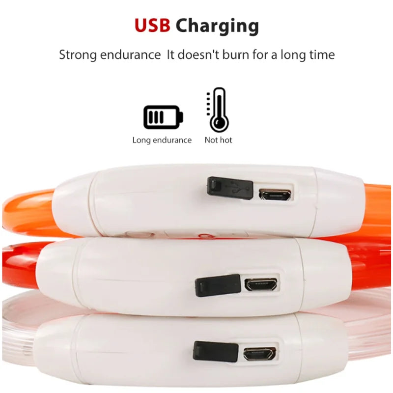 Led-hundehalsband Leuchtendes USB-Hundehalsband