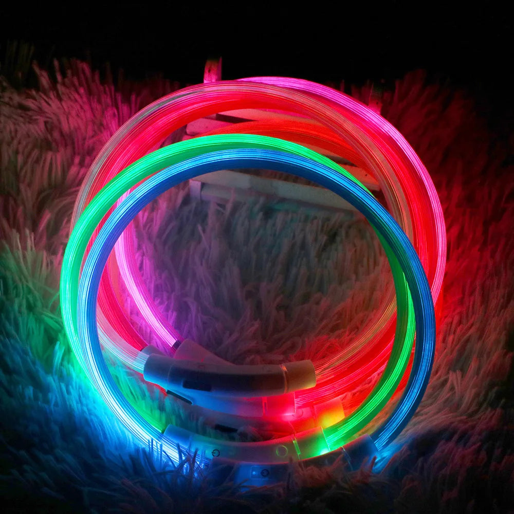 Led-hundehalsband Leuchtendes USB-Hundehalsband